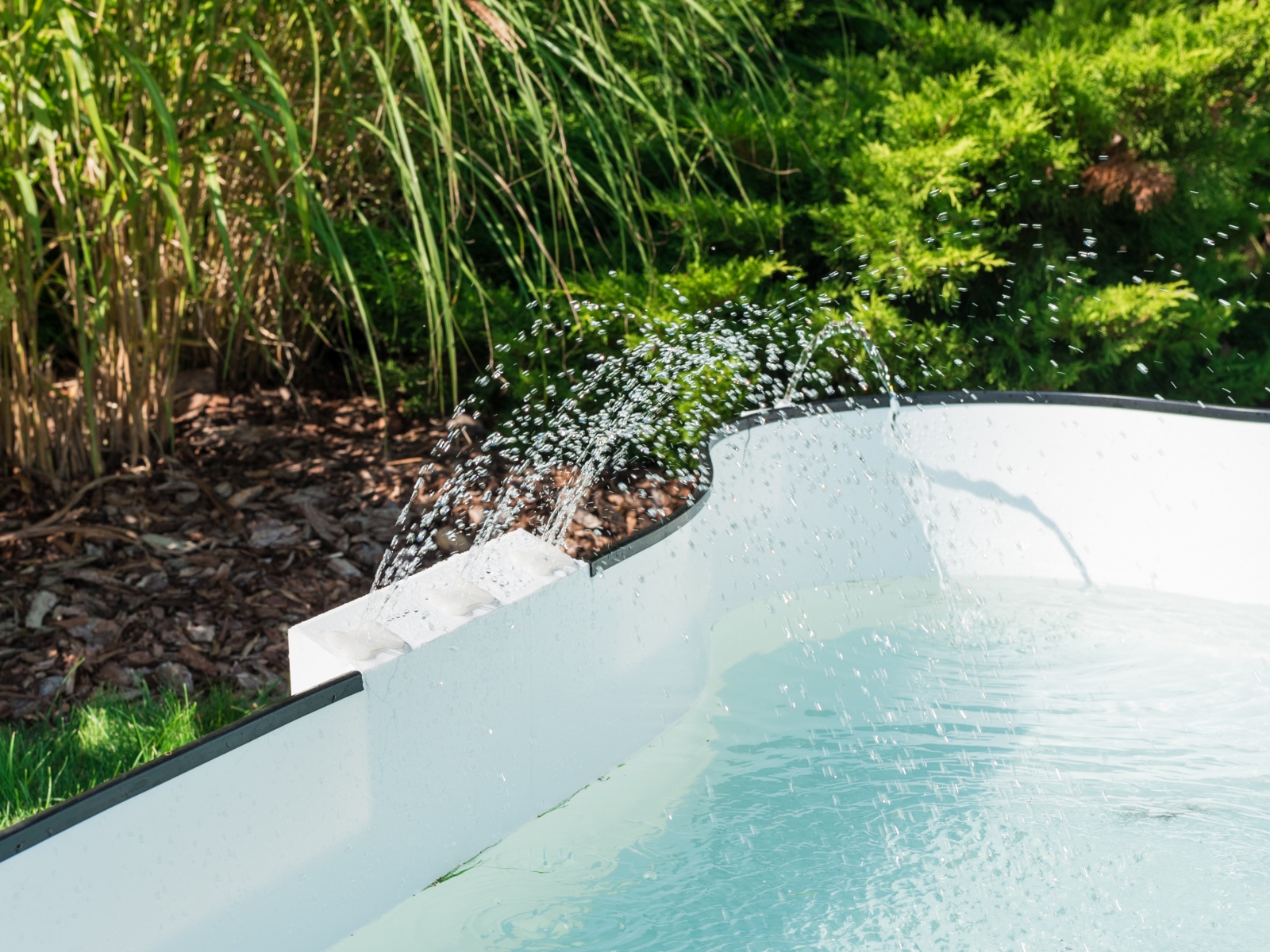 DOG•POOL in Benutzung