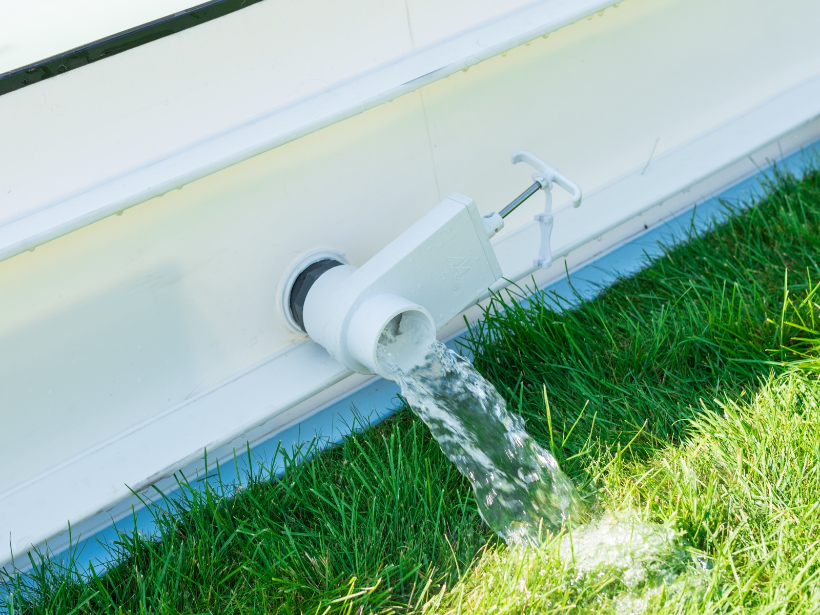 DOG•POOL in Benutzung